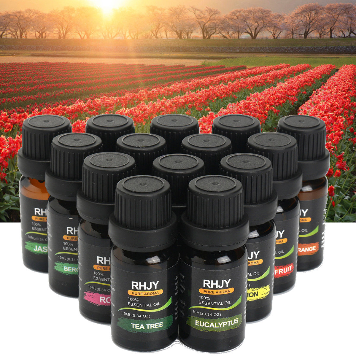 DuskNest Essential Oil Gift Set - 6 Premium Aromatherapy Blends